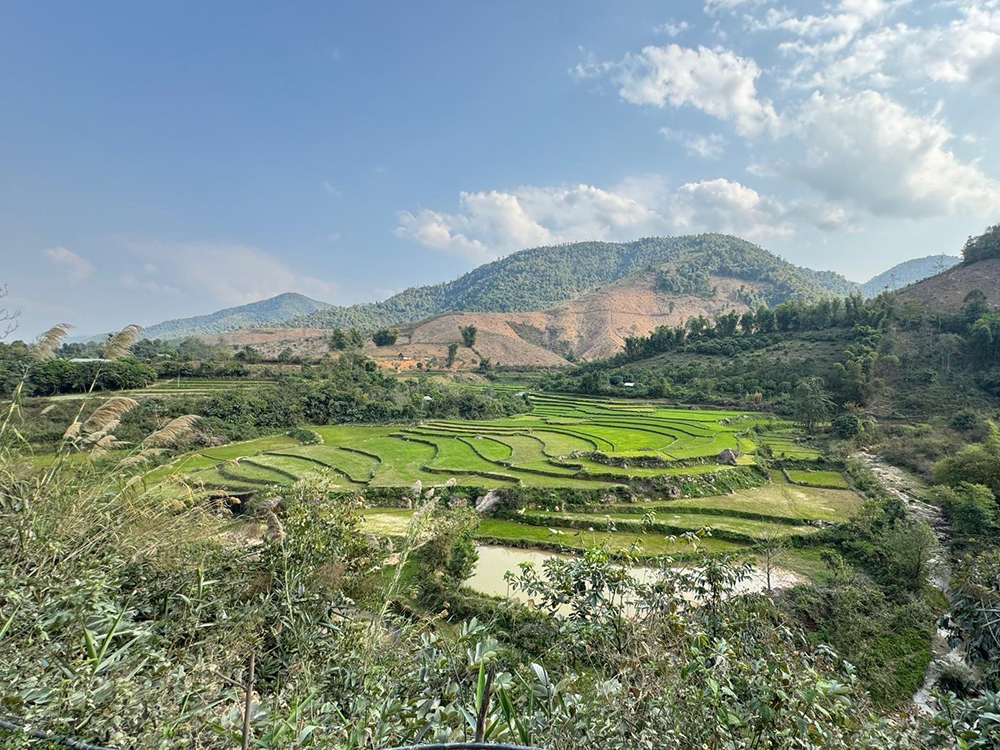 terrace farm