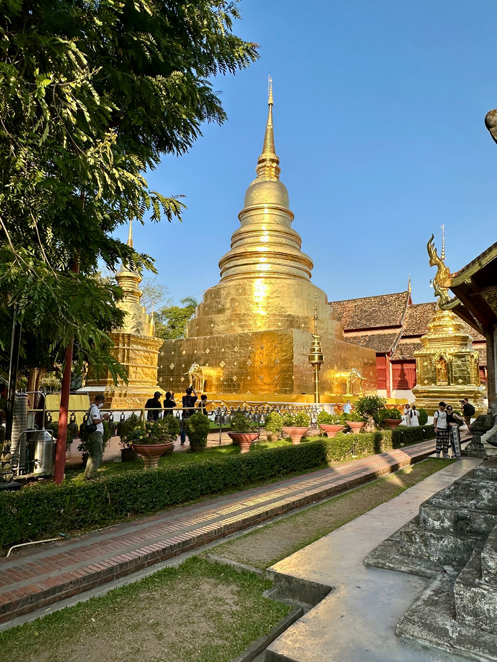Thai Firt Knox