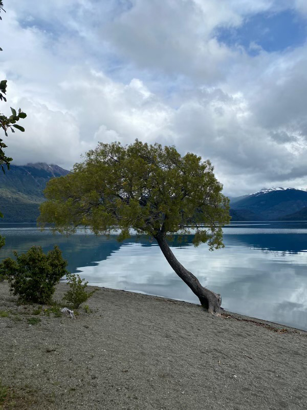 Lake Scenery