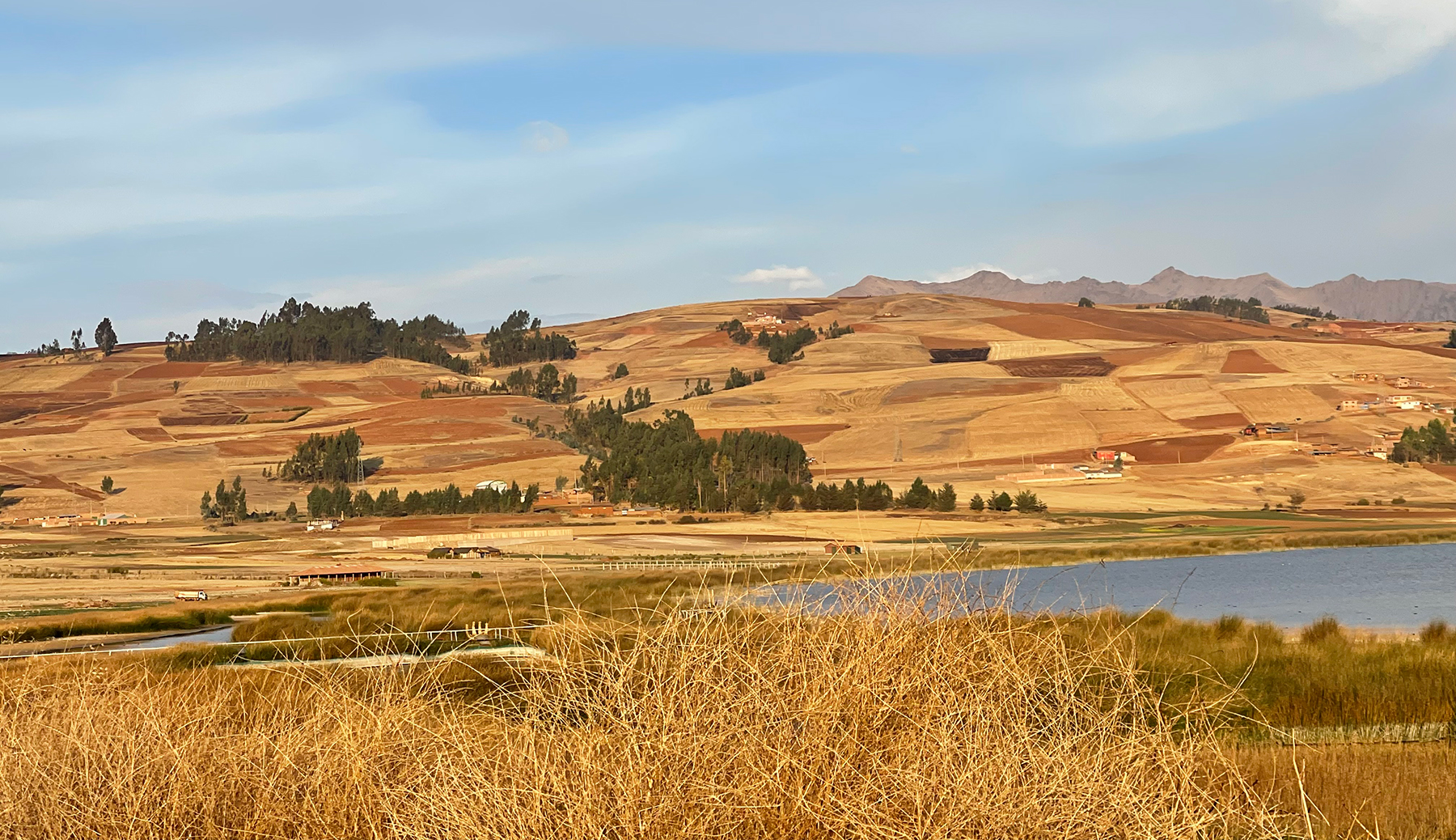 Landscape