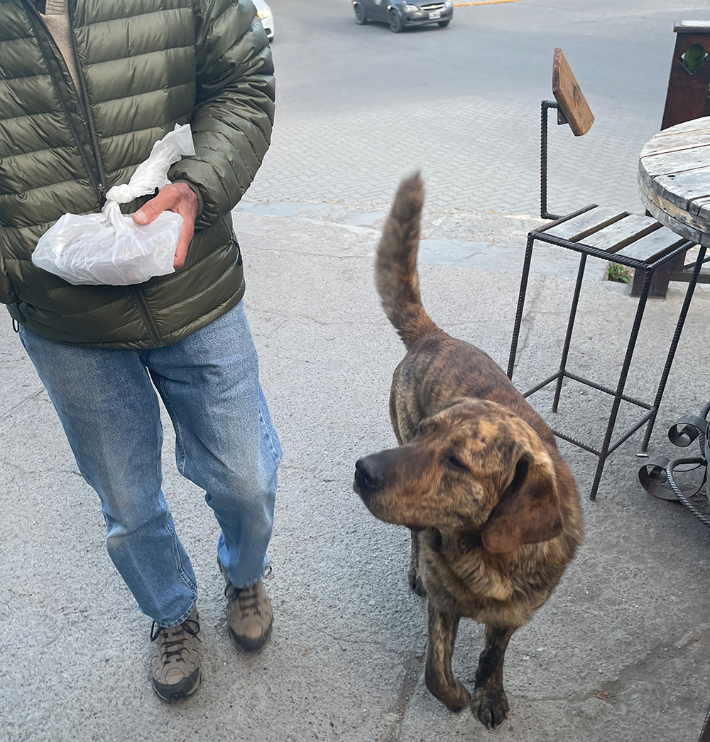 Jim's new pal