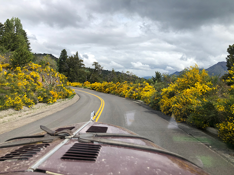 Miles Of Flowers