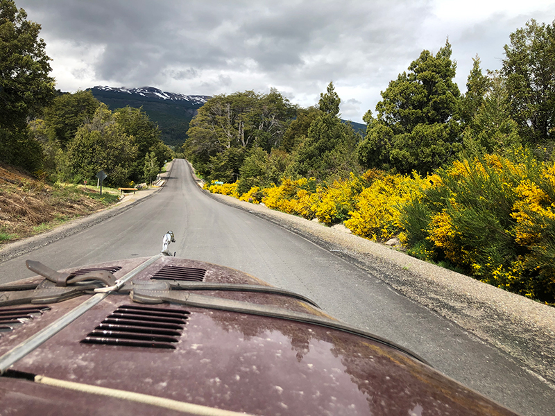 Miles Of Flowers