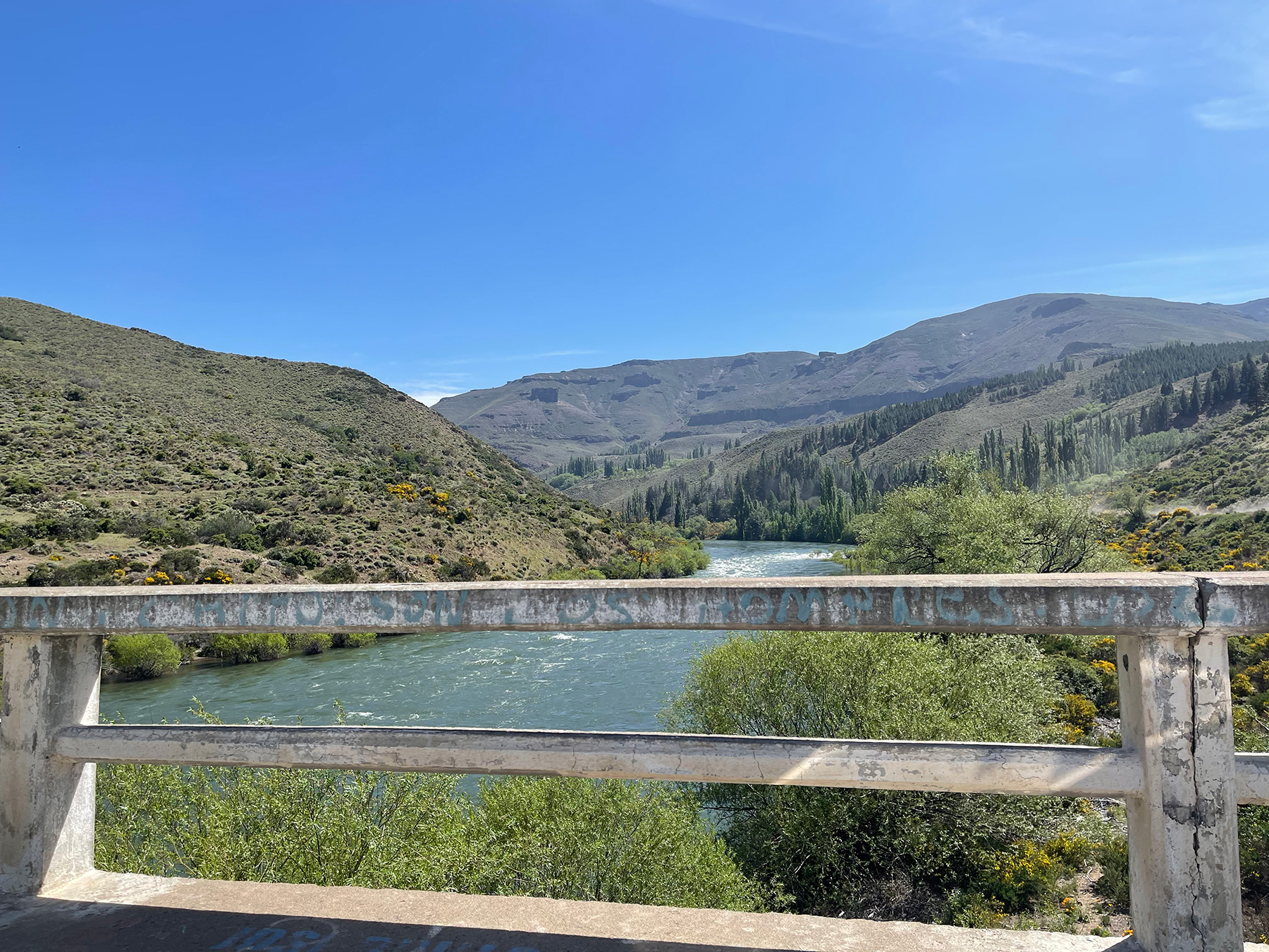 Patagonia Bridge