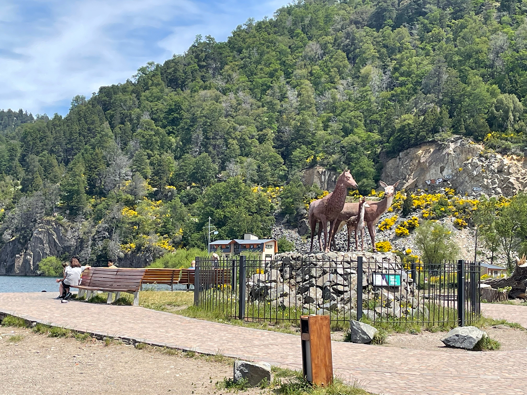 Patagonia