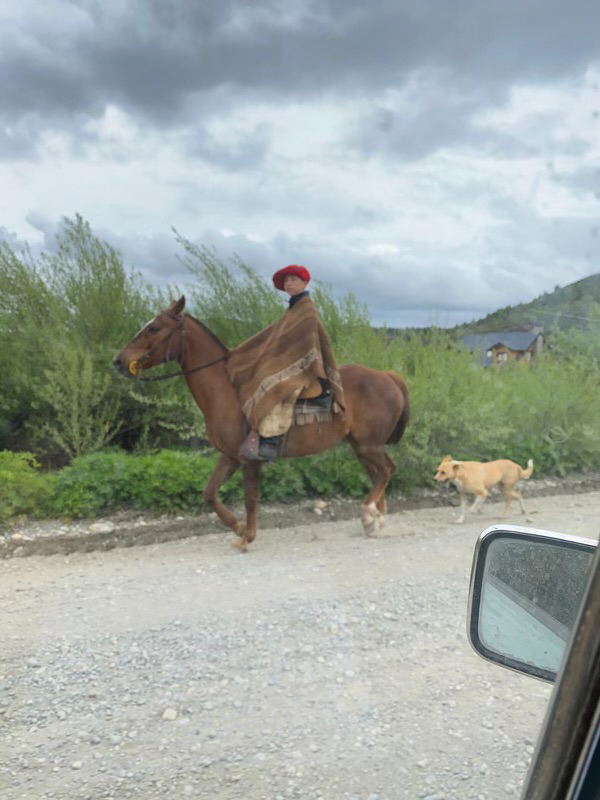 Horseback Rider