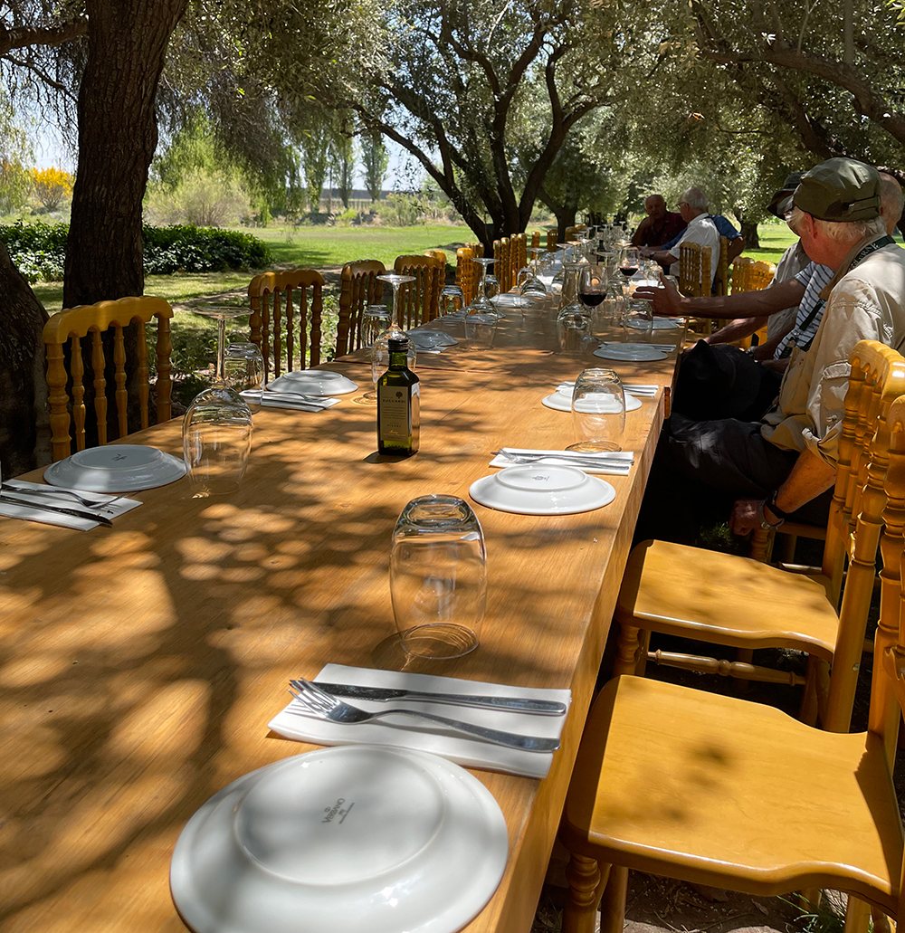 Vineyard Luncheon