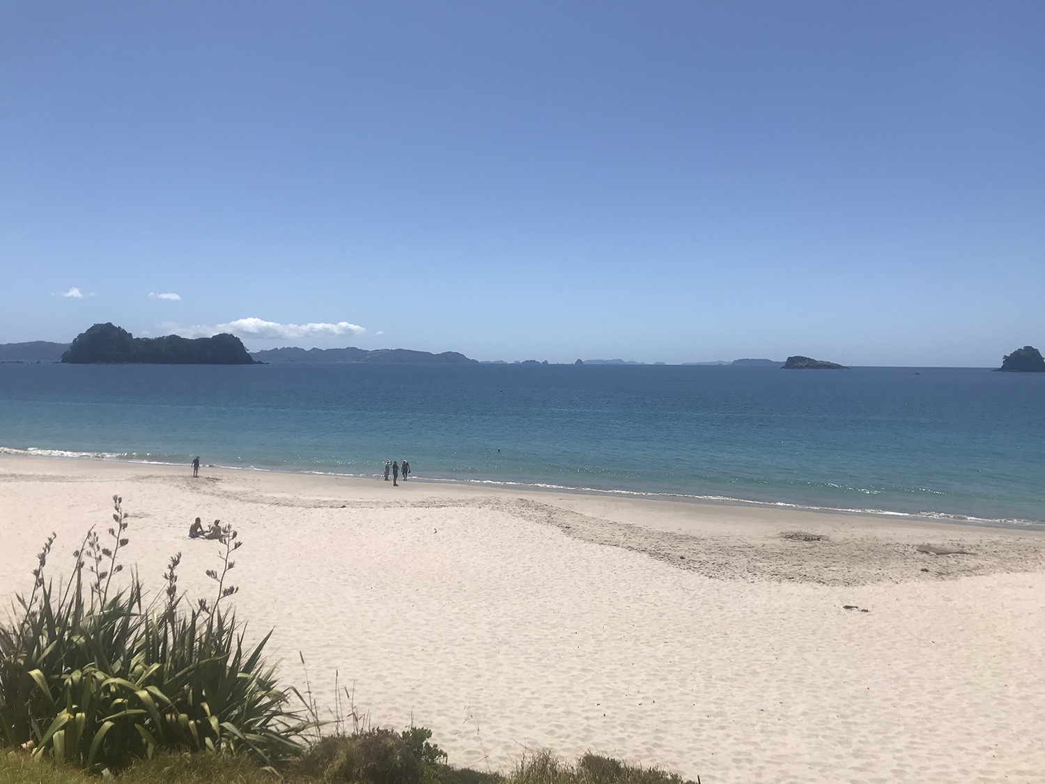 NZ Beach