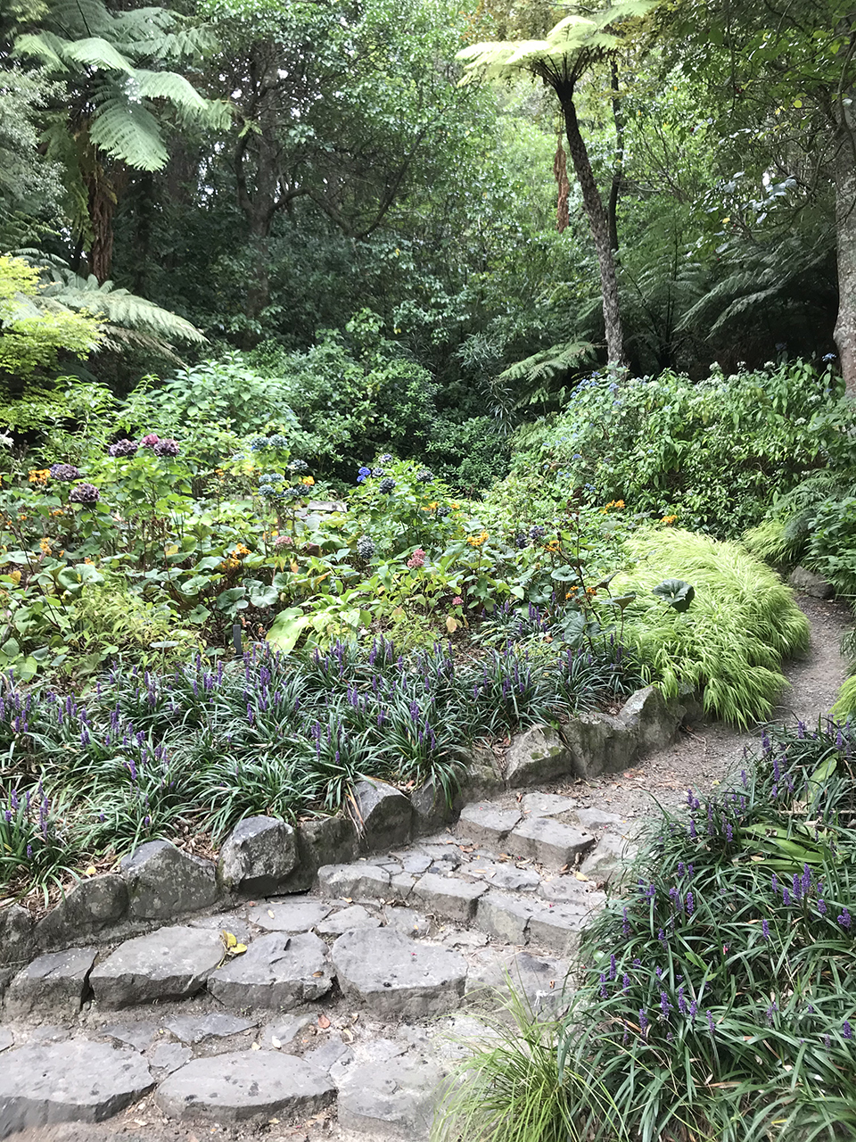 Botanic Garden