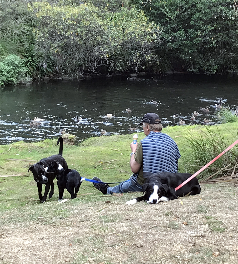 Dogs In Park at Christ Church