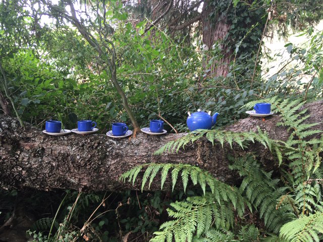 Jungle Tea Party