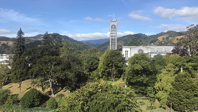 Nelson from the hotel window