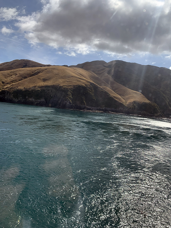 On The Ferry