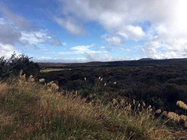 New Zealand Scenery