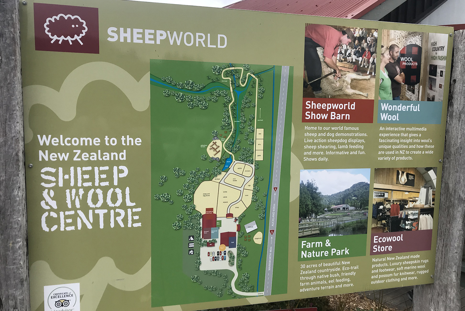 Sheep World