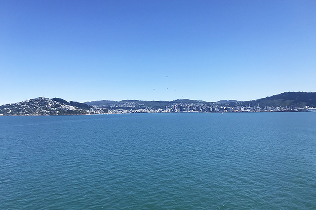 New Zealand Shoreline