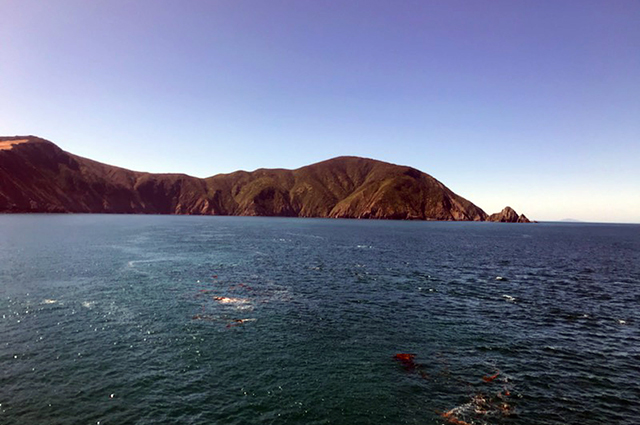 South Island