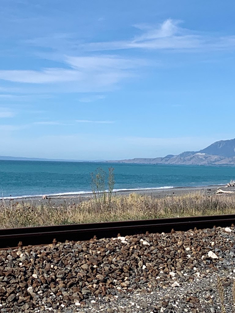Train Tracks Along Shore