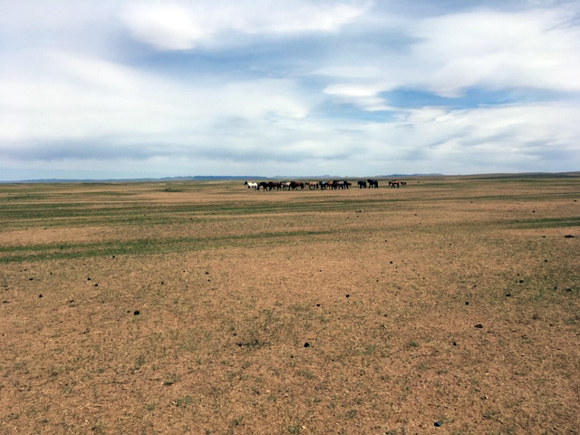 Beautiful Mongolia