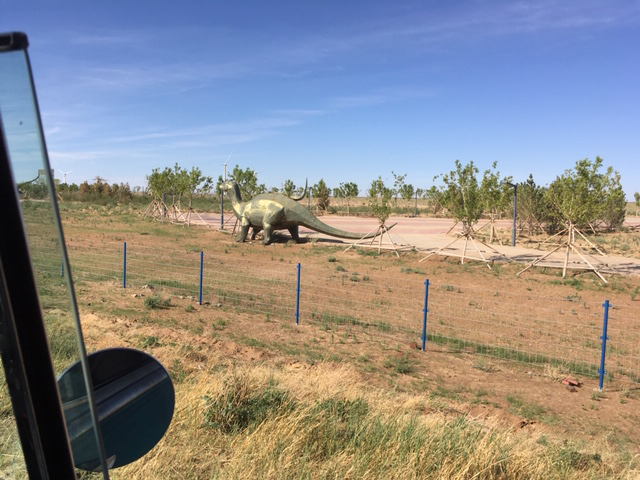 Dinosaur Stroll