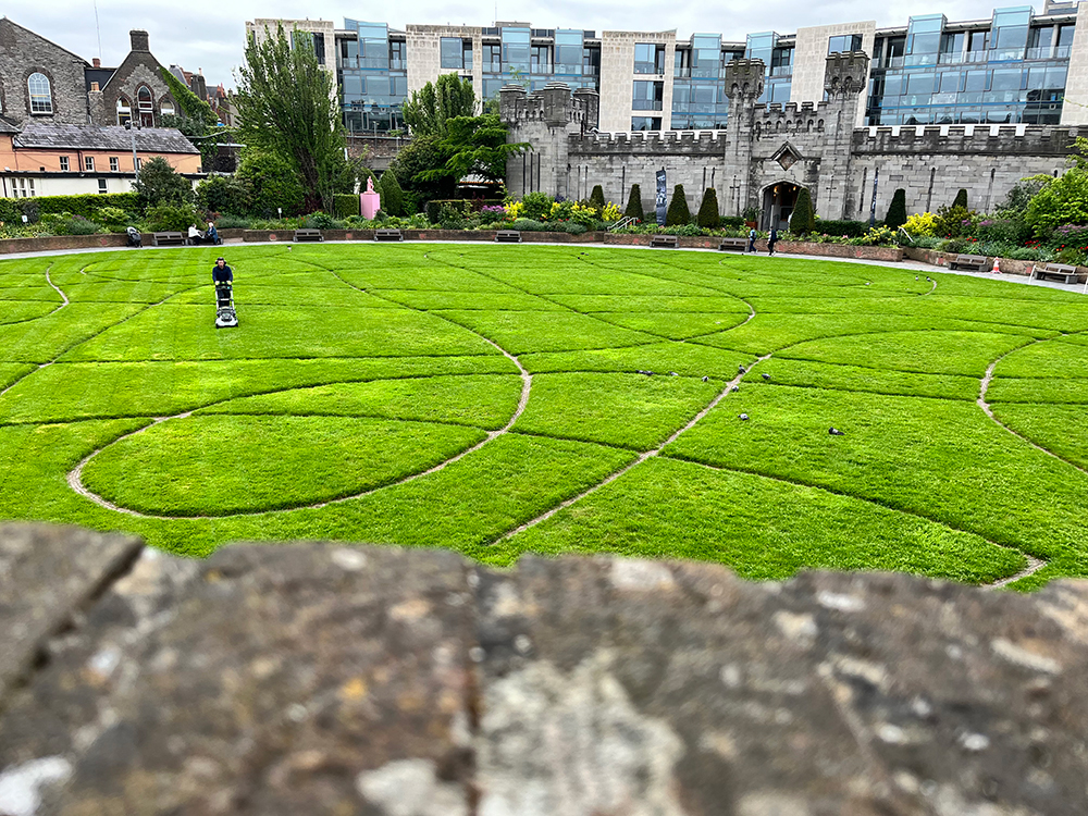 manicured grass