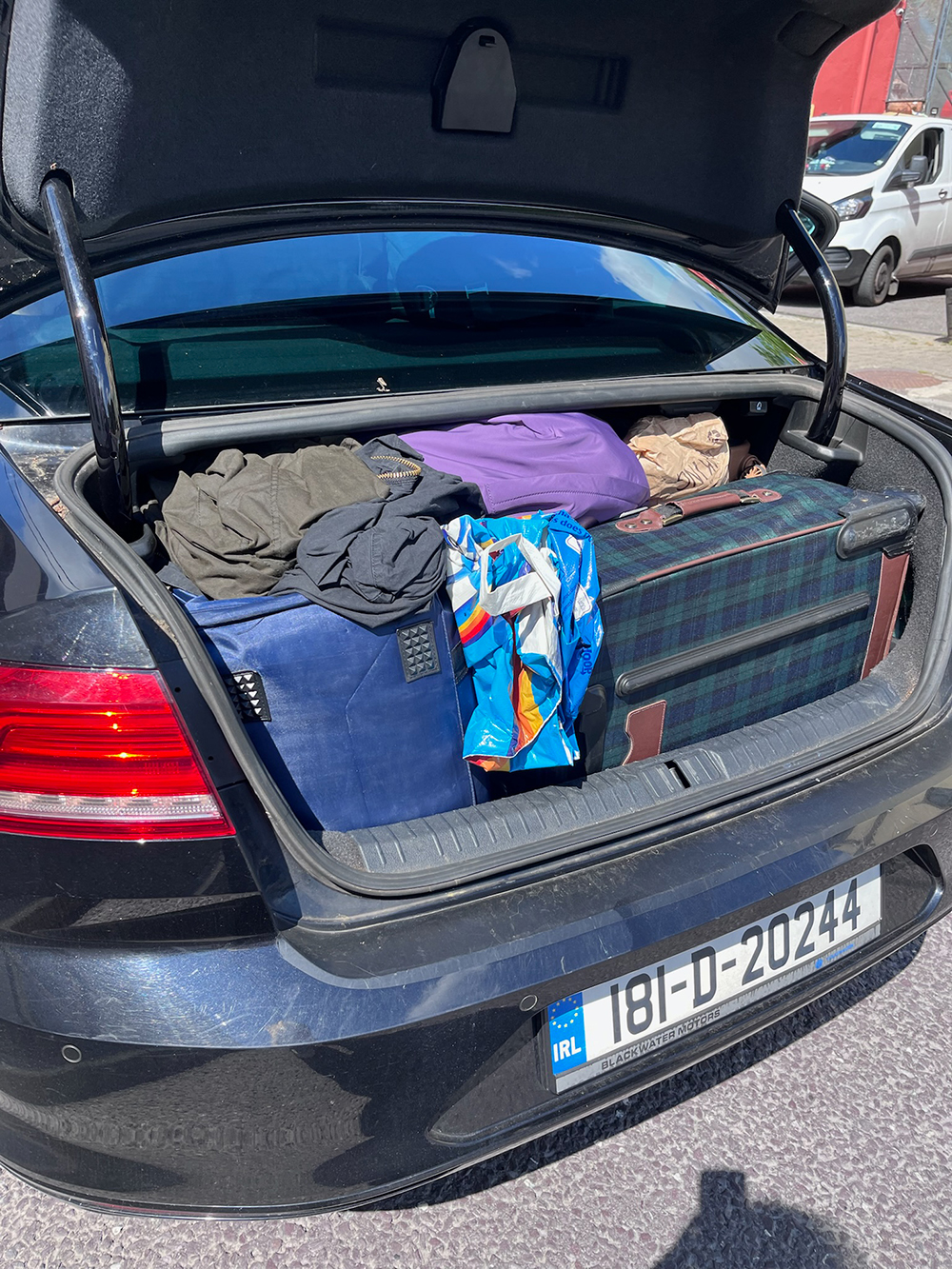 Stuffed Trunk