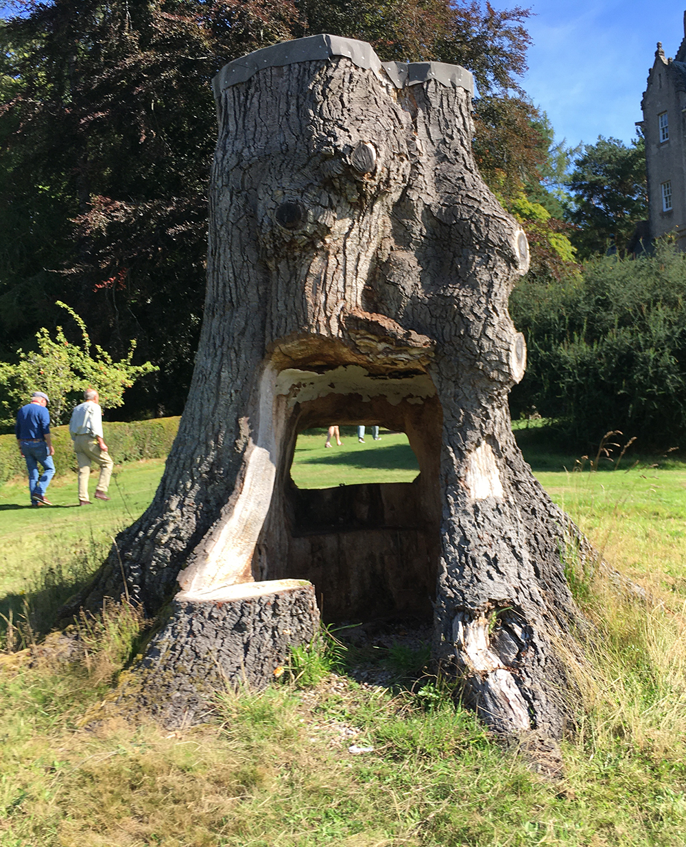 Tree